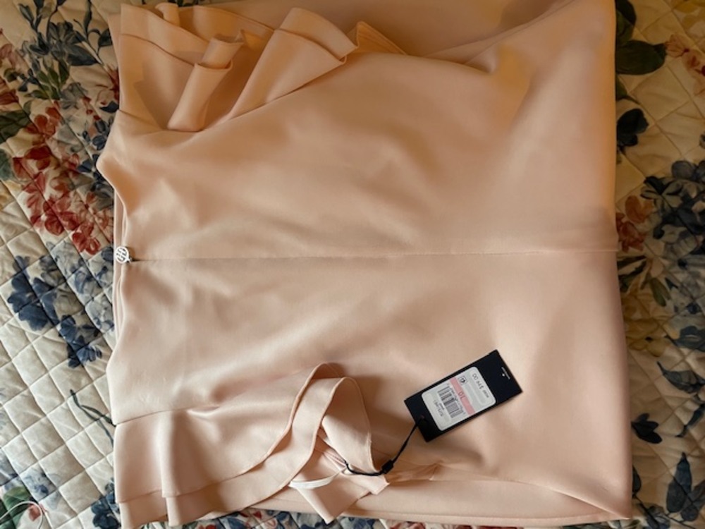 NWT Tommy Hilfiger Ballet Pink Flutter Sleeve Dress - Size 10 - Picture 6 of 6